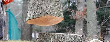 Best Commercial Tree Services  in Stonebridge, NJ